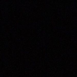 Meet your Posher, Shane